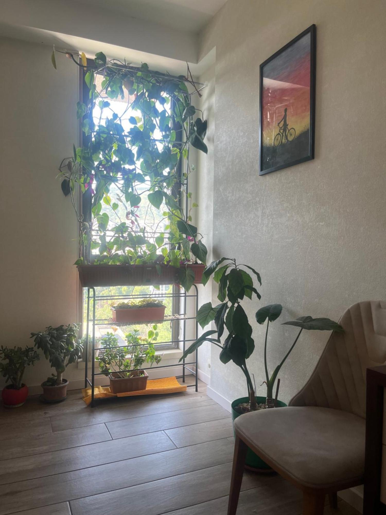 Apartmán Panorama Khiliani Tbilisi Exteriér fotografie